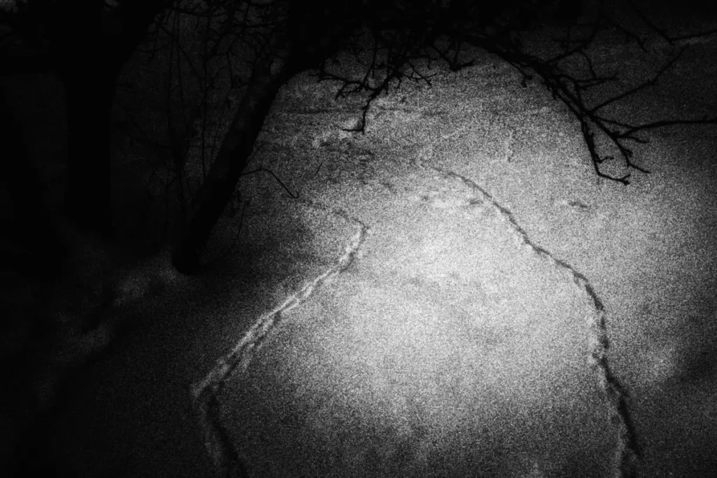 Фото: Редакция «Вёрстки».