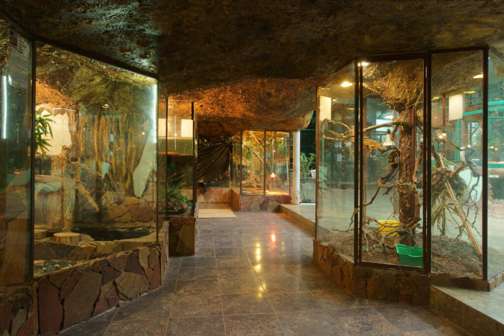 зоопарк «Тропикпарк» в&nbsp;Евпатории