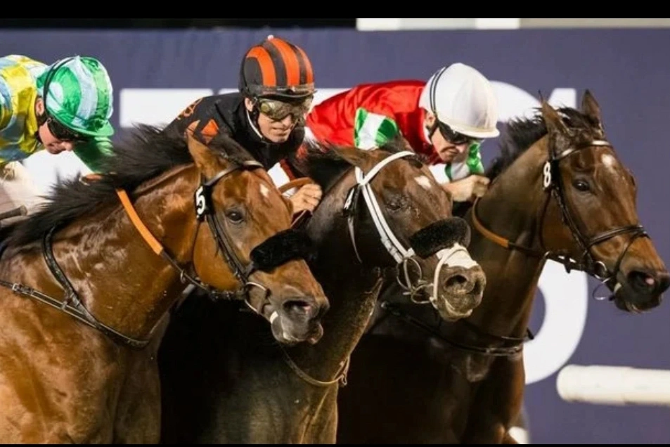 Конно-спортивный клуб «Ахмат»