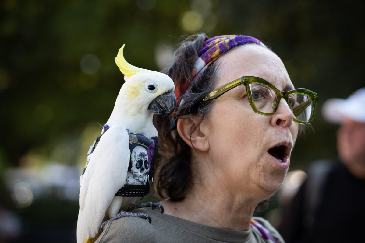 В&nbsp;США и&nbsp;Европе запрещают движение антифашистов. Что происходит и&nbsp;как это повлияет на&nbsp;«антифа» в&nbsp;России