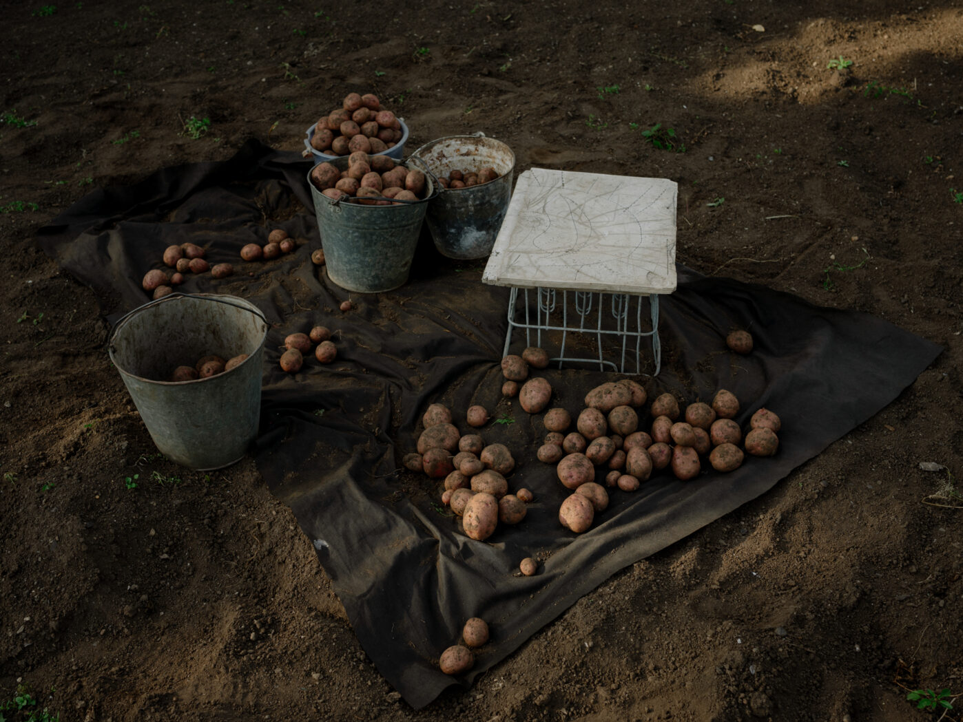 Фотограф Алёна Кардаш, много лет живущая в&nbsp;Германии, рассказывает о&nbsp;своих редких поездках в&nbsp;родной Томск и&nbsp;о&nbsp;том, как восприятие дома изменилось после начала «СВО»