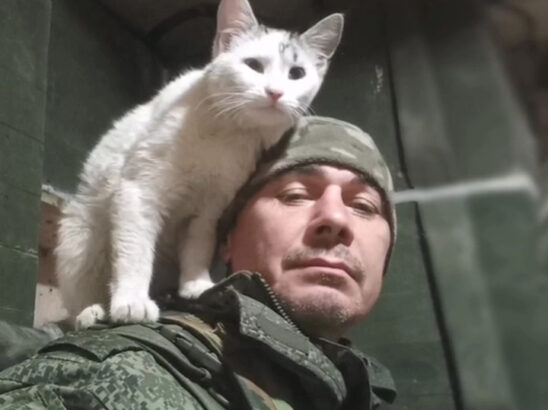 Сердитов Сергей Валерьевич