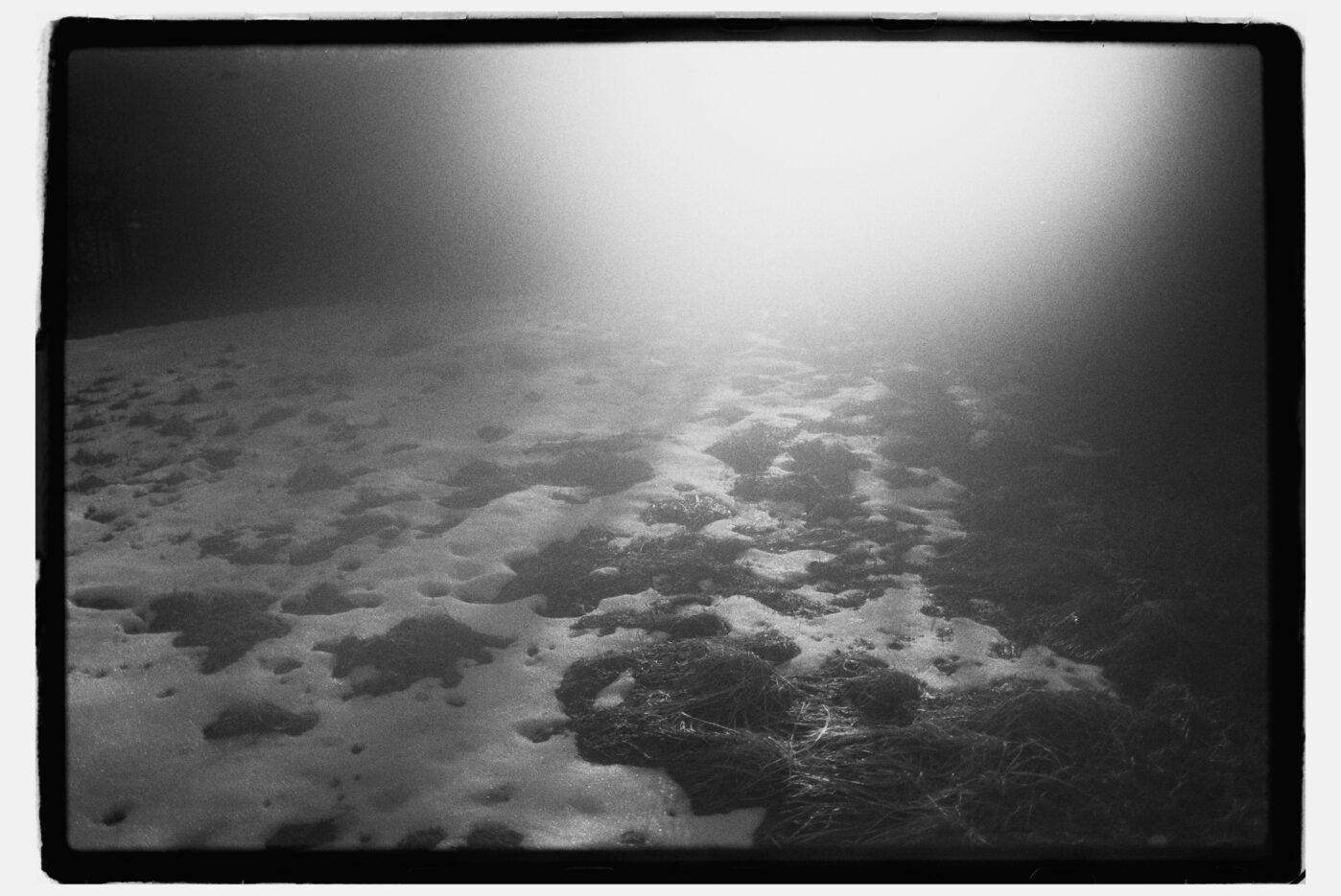 Фотограф Владимир Аверин в&nbsp;фотопроекте о&nbsp;болезни Альцгеймера у&nbsp;близкого человека рассказывает, с&nbsp;какими трудностями сталкивается человек, ухаживающий за&nbsp;больным